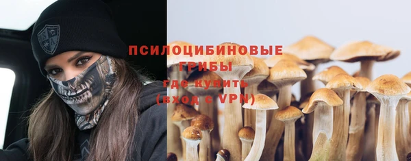 соль ск Алексин