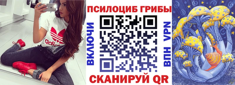 Псилоцибиновые грибы Psilocybine cubensis  Гулькевичи 